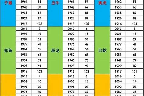 1962年生肖五行